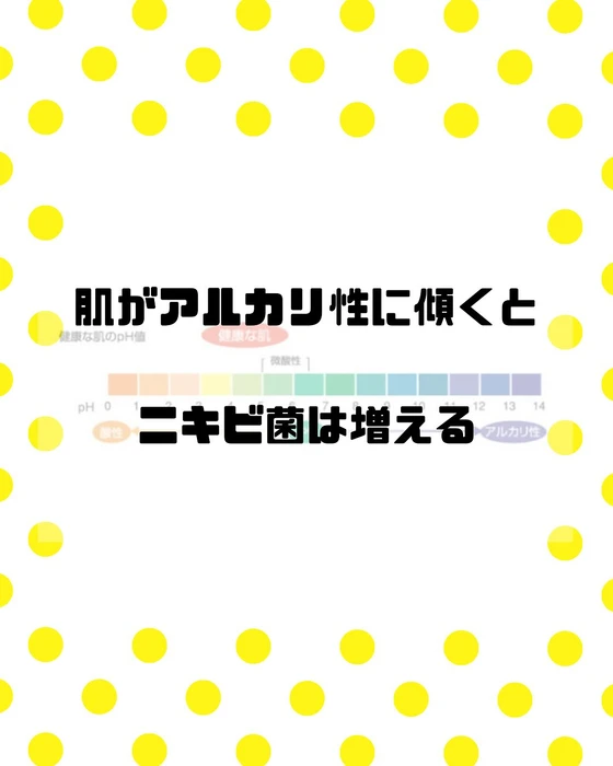 画像297