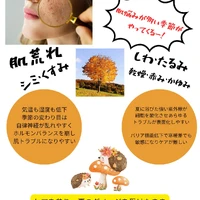 画像322