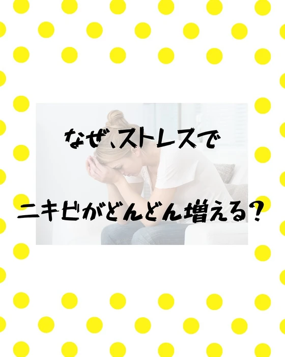 画像331