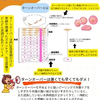 画像339