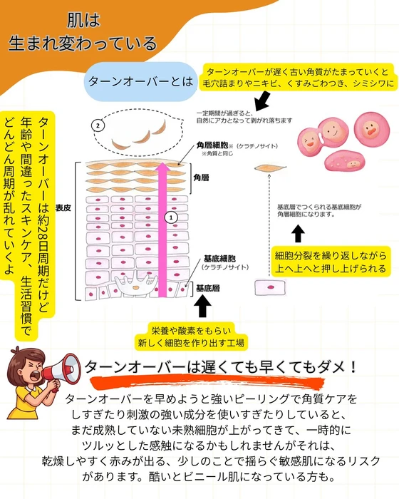 画像339