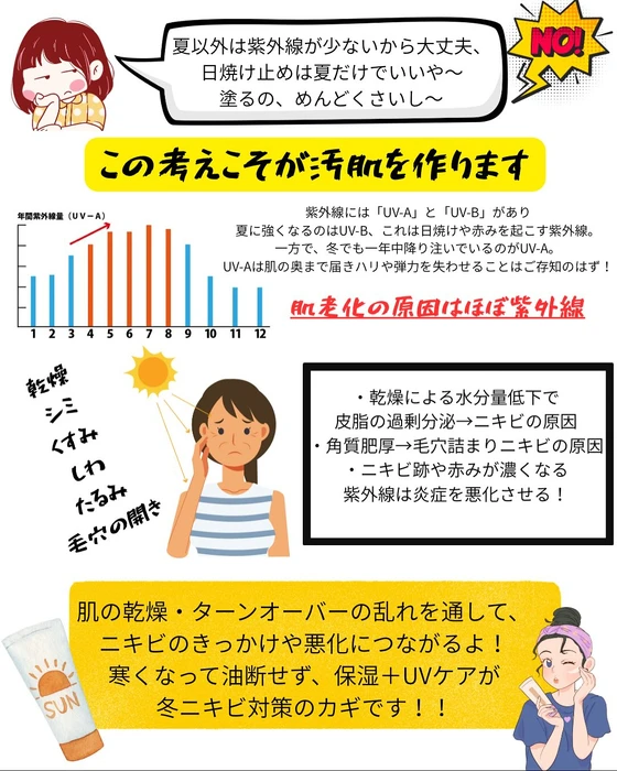 画像356