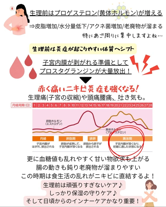 画像367